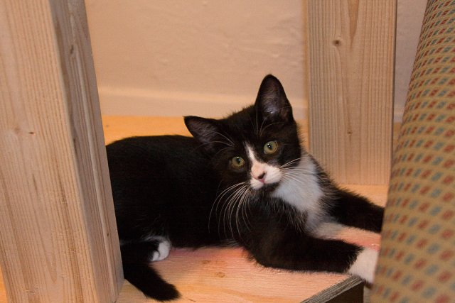 Misha_2008-07-07_0006